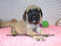 processed/f952aaee-cca1-46e9-9308-e8aa736625c3/listing/c195272e-c0d8-40d8-b05c-a09a5ff4911f/1b8dea60-0981-49e7-bb34-f8e356e0cfcd