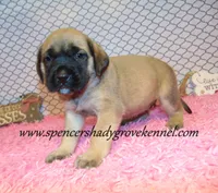 processed/f952aaee-cca1-46e9-9308-e8aa736625c3/listing/c195272e-c0d8-40d8-b05c-a09a5ff4911f/4b865d5f-8abf-4264-95a0-fb1528204919