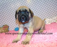 processed/f952aaee-cca1-46e9-9308-e8aa736625c3/listing/c195272e-c0d8-40d8-b05c-a09a5ff4911f/4de746bd-4f23-47a8-a343-08f93736be65