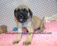 processed/f952aaee-cca1-46e9-9308-e8aa736625c3/listing/c195272e-c0d8-40d8-b05c-a09a5ff4911f/519beb31-0086-49d0-8cbe-0fcc007f0753