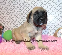 processed/f952aaee-cca1-46e9-9308-e8aa736625c3/listing/c195272e-c0d8-40d8-b05c-a09a5ff4911f/64070fc2-1f5f-4289-bd2b-ef95593c5ca0