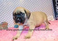 processed/f952aaee-cca1-46e9-9308-e8aa736625c3/listing/c195272e-c0d8-40d8-b05c-a09a5ff4911f/699fffac-969a-4c65-8655-cd72e0b3d501