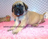 processed/f952aaee-cca1-46e9-9308-e8aa736625c3/listing/c195272e-c0d8-40d8-b05c-a09a5ff4911f/88e89de0-8884-4d31-b3e0-a60c65e81355