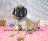 processed/f952aaee-cca1-46e9-9308-e8aa736625c3/listing/c195272e-c0d8-40d8-b05c-a09a5ff4911f/9eb2d525-3f83-4f40-a389-58cbf220bcf4