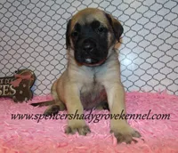 processed/f952aaee-cca1-46e9-9308-e8aa736625c3/listing/d19b7e6d-b444-4e39-b1d5-d975936750a1/19e650e7-7eba-4a47-98c9-d726df1d7a1d