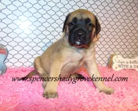 processed/f952aaee-cca1-46e9-9308-e8aa736625c3/listing/d19b7e6d-b444-4e39-b1d5-d975936750a1/20b09c46-70b9-4ab2-b88c-2c1c15024d1d