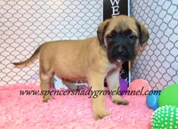 processed/f952aaee-cca1-46e9-9308-e8aa736625c3/listing/d19b7e6d-b444-4e39-b1d5-d975936750a1/2284396f-b248-4fb4-80f1-5ddf399179be