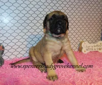 processed/f952aaee-cca1-46e9-9308-e8aa736625c3/listing/d19b7e6d-b444-4e39-b1d5-d975936750a1/8946ab52-b58a-458b-afb3-7e8cb483eba8