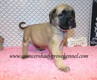 processed/f952aaee-cca1-46e9-9308-e8aa736625c3/listing/d19b7e6d-b444-4e39-b1d5-d975936750a1/b2e219c0-2947-45c0-b829-3010f4860a49