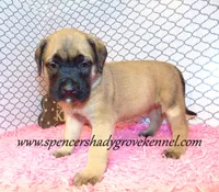 processed/f952aaee-cca1-46e9-9308-e8aa736625c3/listing/d19b7e6d-b444-4e39-b1d5-d975936750a1/bb0f995e-daae-4447-97fa-80d69682f048