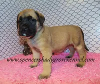 processed/f952aaee-cca1-46e9-9308-e8aa736625c3/listing/d19b7e6d-b444-4e39-b1d5-d975936750a1/e34e325a-fb74-475f-a4ea-df36e88c4f4f