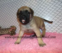 processed/f952aaee-cca1-46e9-9308-e8aa736625c3/listing/d19b7e6d-b444-4e39-b1d5-d975936750a1/f5b639c0-0228-4183-9812-a924b817fb8c