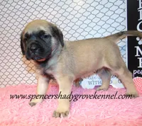 processed/f952aaee-cca1-46e9-9308-e8aa736625c3/listing/d857ba72-0332-40d9-b1eb-0368e25b3d7a/18ad304e-3696-4797-bc51-6fa9a9846eea