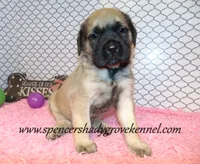 processed/f952aaee-cca1-46e9-9308-e8aa736625c3/listing/d857ba72-0332-40d9-b1eb-0368e25b3d7a/1dbcf456-8511-440e-bfba-de668b8bb5e6