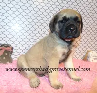 processed/f952aaee-cca1-46e9-9308-e8aa736625c3/listing/d857ba72-0332-40d9-b1eb-0368e25b3d7a/205cd070-18bd-49cc-9a1c-2efefe60e17d