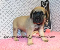 processed/f952aaee-cca1-46e9-9308-e8aa736625c3/listing/d857ba72-0332-40d9-b1eb-0368e25b3d7a/2ae4b81d-ad21-4121-82e3-2476f103a773