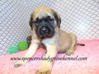 processed/f952aaee-cca1-46e9-9308-e8aa736625c3/listing/d857ba72-0332-40d9-b1eb-0368e25b3d7a/43fe9faf-6c8a-4da4-8189-b74014835da1