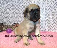 processed/f952aaee-cca1-46e9-9308-e8aa736625c3/listing/d857ba72-0332-40d9-b1eb-0368e25b3d7a/58d4c8b8-75d9-4ff2-a6f4-eb68f47a5280