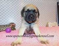 processed/f952aaee-cca1-46e9-9308-e8aa736625c3/listing/d857ba72-0332-40d9-b1eb-0368e25b3d7a/8c306eef-d713-4fd9-b2c4-542896d93aa1