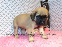 processed/f952aaee-cca1-46e9-9308-e8aa736625c3/listing/d857ba72-0332-40d9-b1eb-0368e25b3d7a/fbe73827-9d6d-4db2-ba1e-af8a03deffa0