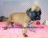 processed/f952aaee-cca1-46e9-9308-e8aa736625c3/listing/dfc1d671-7e7d-47e4-89fe-54a050b0d146/1f5d368d-c504-4899-87ee-a9c8da0959cc