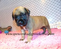 processed/f952aaee-cca1-46e9-9308-e8aa736625c3/listing/dfc1d671-7e7d-47e4-89fe-54a050b0d146/4d90e3a6-7ecf-4211-84a3-8c4d125c1f2c