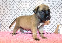 processed/f952aaee-cca1-46e9-9308-e8aa736625c3/listing/dfc1d671-7e7d-47e4-89fe-54a050b0d146/7dad31e7-217b-4751-86b7-2cb890950973