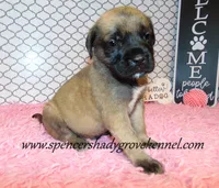 processed/f952aaee-cca1-46e9-9308-e8aa736625c3/listing/dfc1d671-7e7d-47e4-89fe-54a050b0d146/8475df78-145f-4395-8bfb-1e7577aafa78