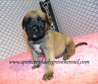 processed/f952aaee-cca1-46e9-9308-e8aa736625c3/listing/dfc1d671-7e7d-47e4-89fe-54a050b0d146/c6176f05-1249-49df-bfa8-5cca035e955a