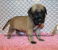 processed/f952aaee-cca1-46e9-9308-e8aa736625c3/listing/dfc1d671-7e7d-47e4-89fe-54a050b0d146/d26abc5b-31b3-4e19-91df-4a0d565f166a