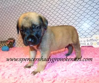 processed/f952aaee-cca1-46e9-9308-e8aa736625c3/listing/dfc1d671-7e7d-47e4-89fe-54a050b0d146/d766dbd0-9e24-43df-913d-41c596dbca06