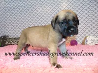 processed/f952aaee-cca1-46e9-9308-e8aa736625c3/listing/dfc1d671-7e7d-47e4-89fe-54a050b0d146/dcc79923-f97f-4f0f-8eaf-2db77445cfa4