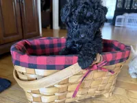 processed/f95c6027-9e92-4e30-87ad-accfee8e01d0/listing/2f40441c-1a10-41c9-8e2f-cdf39d7ce66c/2ff0b363-7f53-4aa3-abc5-7f83cd9e15ad