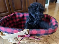 processed/f95c6027-9e92-4e30-87ad-accfee8e01d0/listing/2f40441c-1a10-41c9-8e2f-cdf39d7ce66c/4c6f5c3d-bf4d-462b-b3cb-2fe9a4a48f84