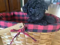 processed/f95c6027-9e92-4e30-87ad-accfee8e01d0/listing/2f40441c-1a10-41c9-8e2f-cdf39d7ce66c/dd921da4-23cf-4cc0-9d2b-c8ed9fd1aad1