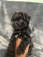 processed/f95c6027-9e92-4e30-87ad-accfee8e01d0/listing/2f40441c-1a10-41c9-8e2f-cdf39d7ce66c/fd115f11-34f5-4299-ad47-85dd20c65952