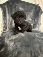 processed/f95c6027-9e92-4e30-87ad-accfee8e01d0/listing/539b0d4e-c948-4641-bdec-f56b795c33d8/134b41f7-ad38-4835-9de0-bcbbe15c8a16