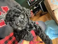 processed/f95c6027-9e92-4e30-87ad-accfee8e01d0/listing/539b0d4e-c948-4641-bdec-f56b795c33d8/7fa2491c-6405-42e3-bb8f-c674f740d75d