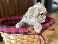 processed/f95c6027-9e92-4e30-87ad-accfee8e01d0/listing/5542b41e-5206-44ee-9b4c-df957204f4b3/04081b44-f977-40f7-88c9-cb2cc34e9f47