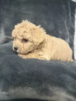 processed/f95c6027-9e92-4e30-87ad-accfee8e01d0/listing/5542b41e-5206-44ee-9b4c-df957204f4b3/27f40b90-9f66-4075-a741-0787491730c0