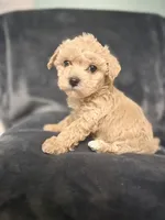 processed/f95c6027-9e92-4e30-87ad-accfee8e01d0/listing/5542b41e-5206-44ee-9b4c-df957204f4b3/7c78254f-8fe0-4f17-b6a0-32a37ebc6be4