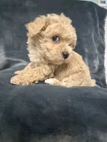 processed/f95c6027-9e92-4e30-87ad-accfee8e01d0/listing/5542b41e-5206-44ee-9b4c-df957204f4b3/bf9ff2ec-4dd1-4152-a9ed-baebf94a6ef2