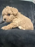 processed/f95c6027-9e92-4e30-87ad-accfee8e01d0/listing/5542b41e-5206-44ee-9b4c-df957204f4b3/db20bd7e-bcc8-4c92-859b-5dbfa892d748