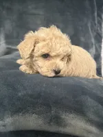 processed/f95c6027-9e92-4e30-87ad-accfee8e01d0/listing/5542b41e-5206-44ee-9b4c-df957204f4b3/e6a1e09a-2d14-49cb-bda0-ee5249bacce7