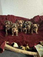 processed/f9629fbc-2bde-454c-b203-f0b69c41f01c/facility/1ffe79c6-ec23-485c-9006-ff3501b02a36