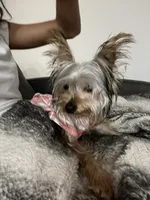 processed/f9629fbc-2bde-454c-b203-f0b69c41f01c/listing/40c77dab-69d5-4cd0-b1f3-ba62b826a775/2400b473-3650-4d38-b77d-b03a4b9c5441