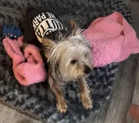 processed/f9629fbc-2bde-454c-b203-f0b69c41f01c/listing/40c77dab-69d5-4cd0-b1f3-ba62b826a775/27e41f93-84f7-4eff-8a67-ea9d619026d4