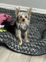 processed/f9629fbc-2bde-454c-b203-f0b69c41f01c/listing/40c77dab-69d5-4cd0-b1f3-ba62b826a775/430619fd-f099-4c3b-97a6-54f613680a89