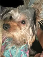 processed/f9629fbc-2bde-454c-b203-f0b69c41f01c/listing/40c77dab-69d5-4cd0-b1f3-ba62b826a775/f91d81f5-bd21-4fc0-a871-b75c834d2fe4