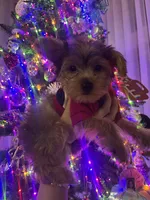 processed/f9629fbc-2bde-454c-b203-f0b69c41f01c/listing/d7fba409-76c2-4659-9bcf-cfc1548dd8f6/01bb24d2-cdc8-453a-9d8f-a9fea84bfac0